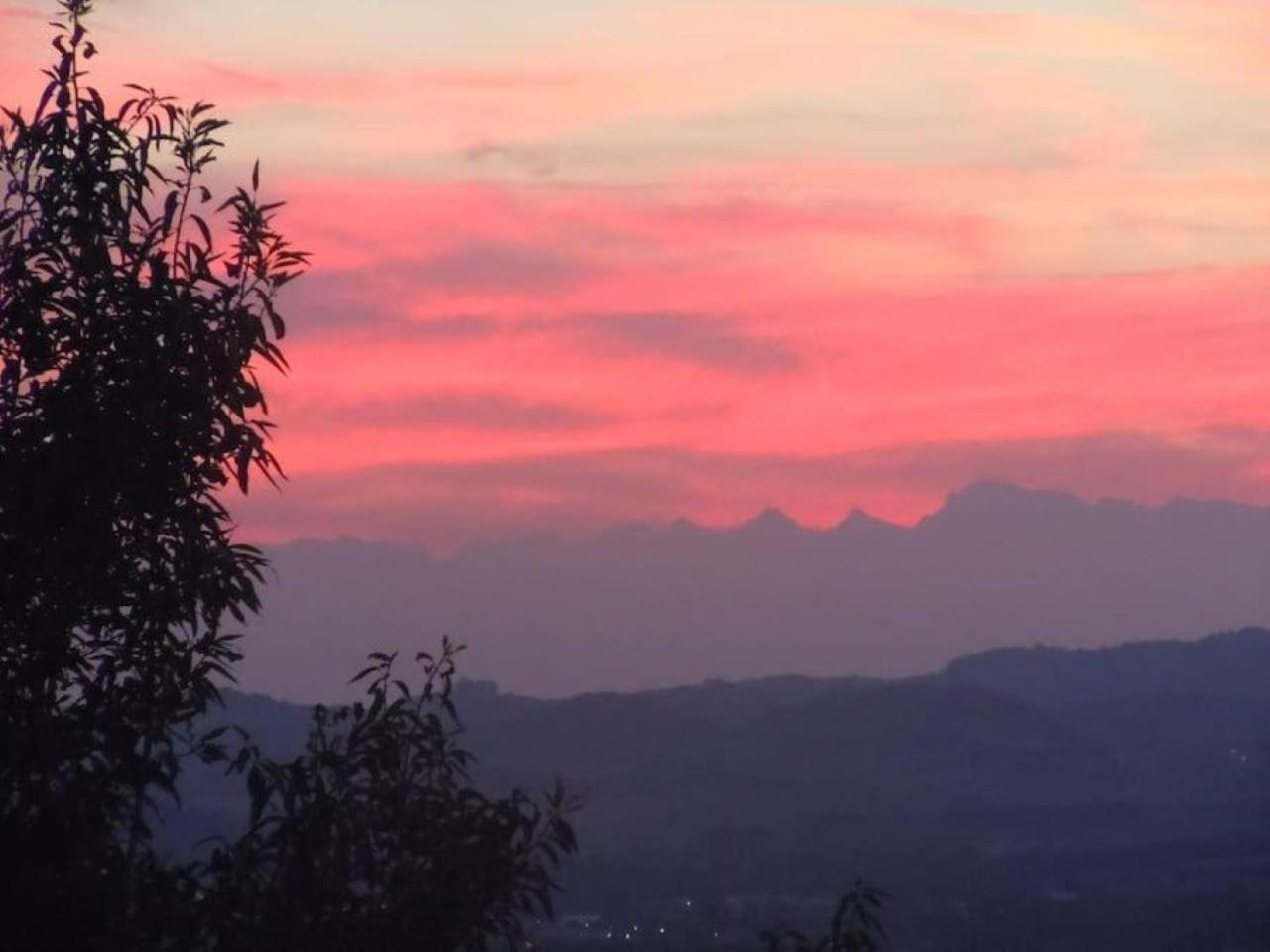 Appartamento La Barberina Ozzano Monferrato Esterno foto
